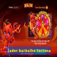 jader barbalho fortuna